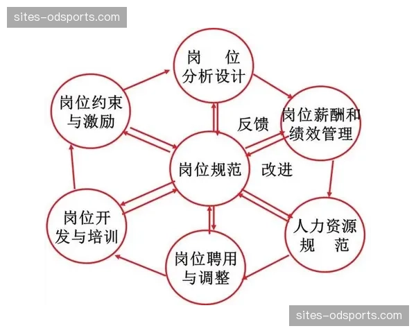 志愿者管理模块迭代升级 岗位分配实现基于技能的智能匹配