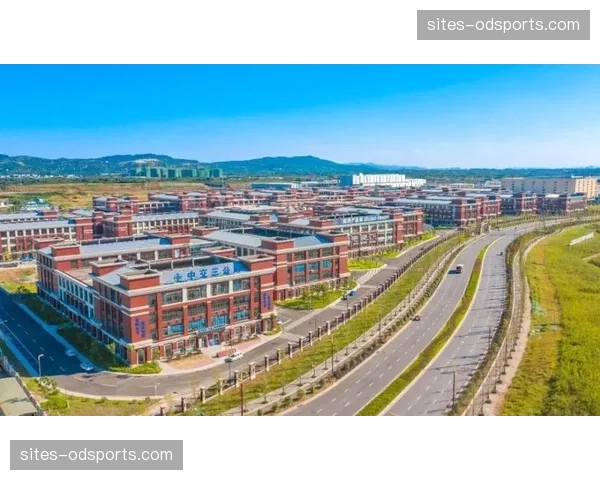 凯利国际化视角重启竞争力，速度纪律创造优势